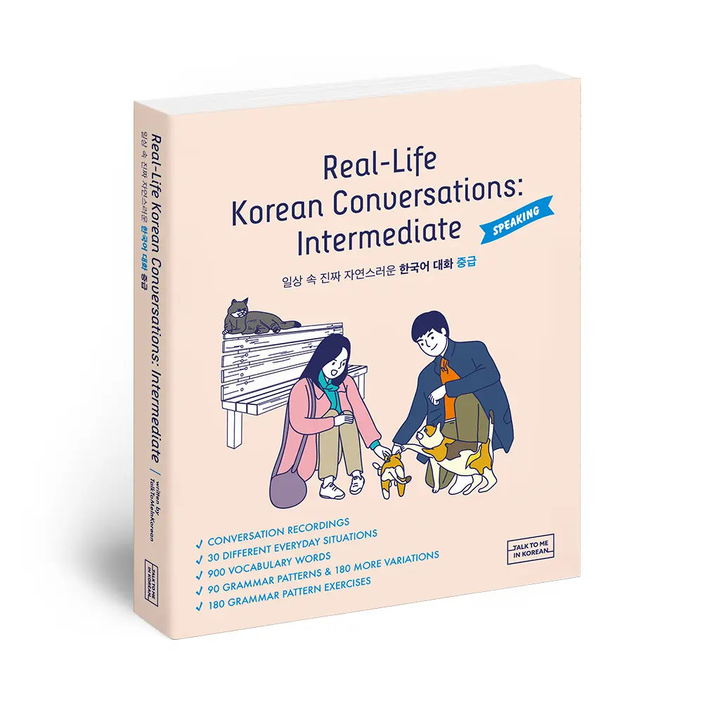 Real-Life Korean Conversations: Intermediate